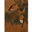 Gaston SUISSE (1896-1988) - Rouges-gorges branchés.